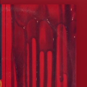 Meet your Posher, Austin